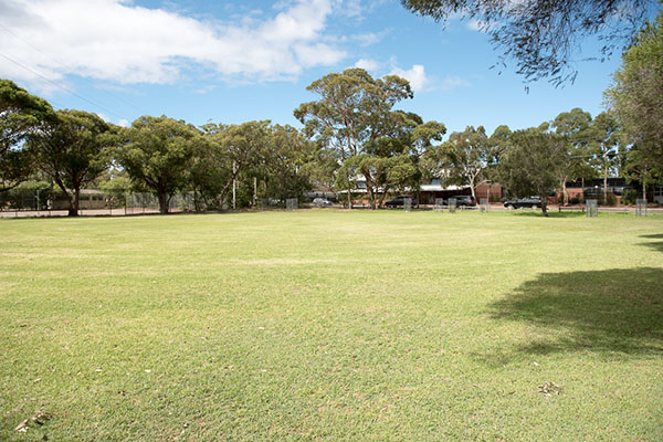 Grassy park for playing ball games