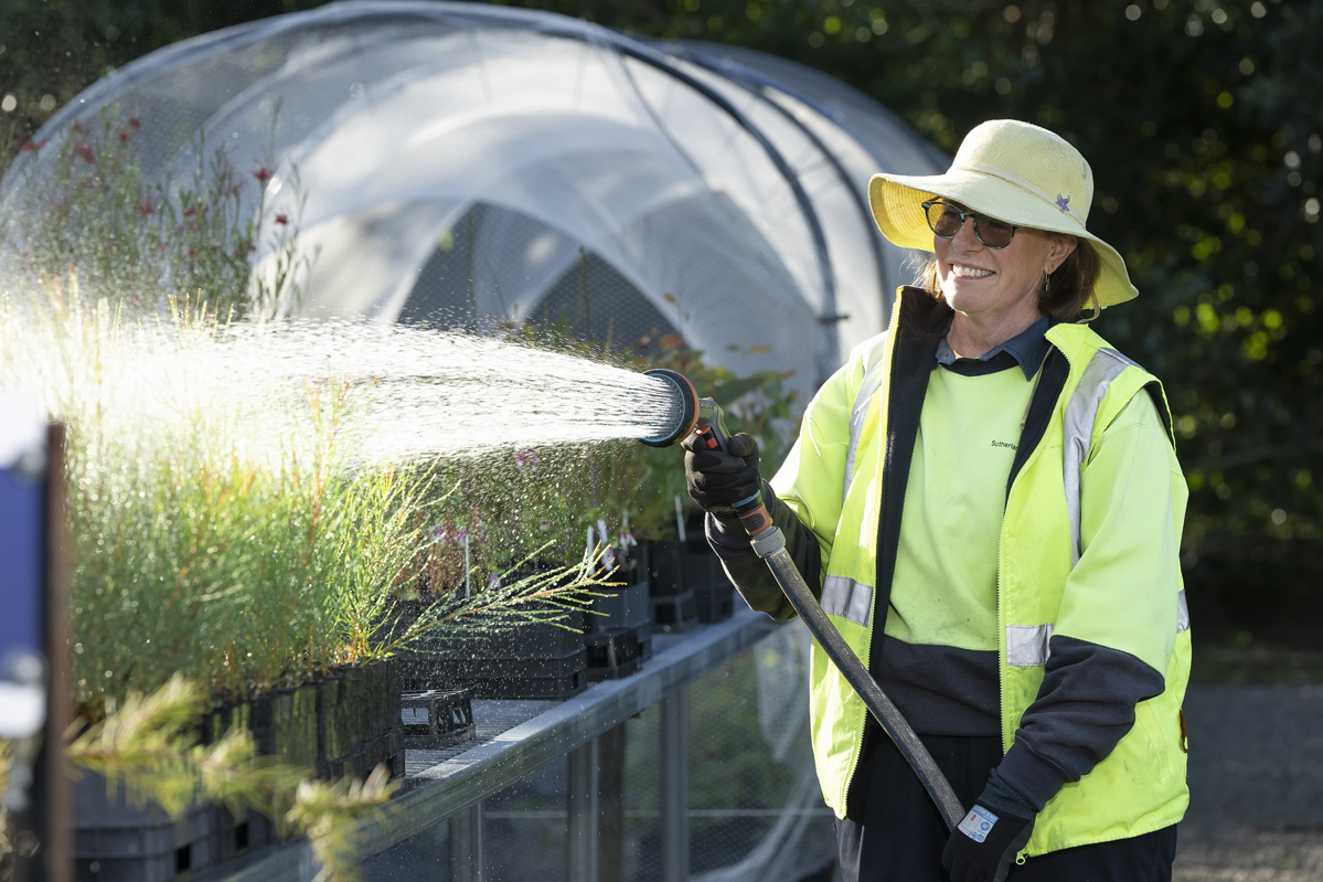 Watering plants at the Community Nursery