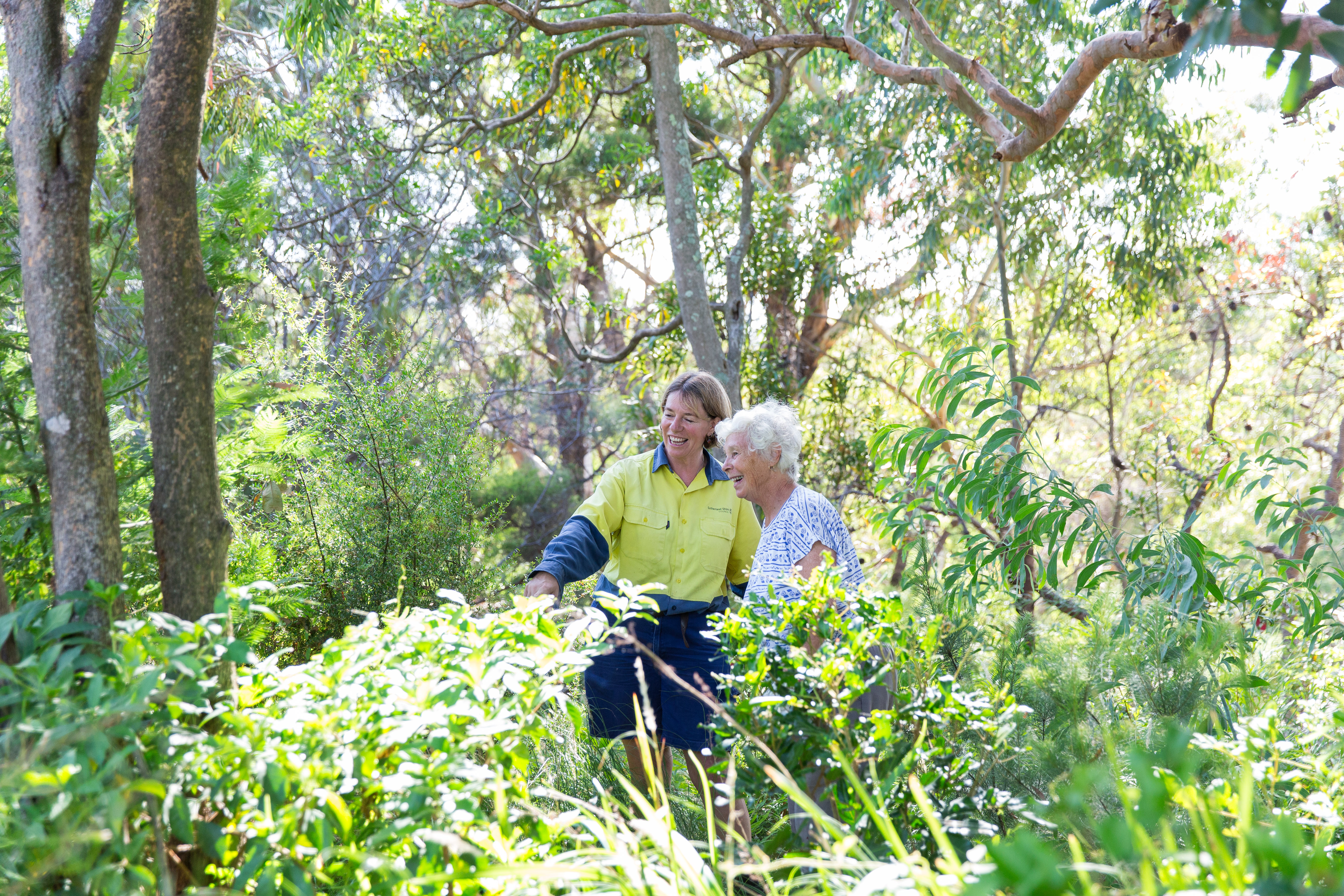 Bushcare volunteers outdoors