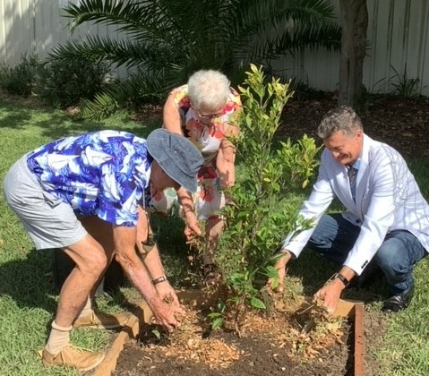 Child planting memorial tree