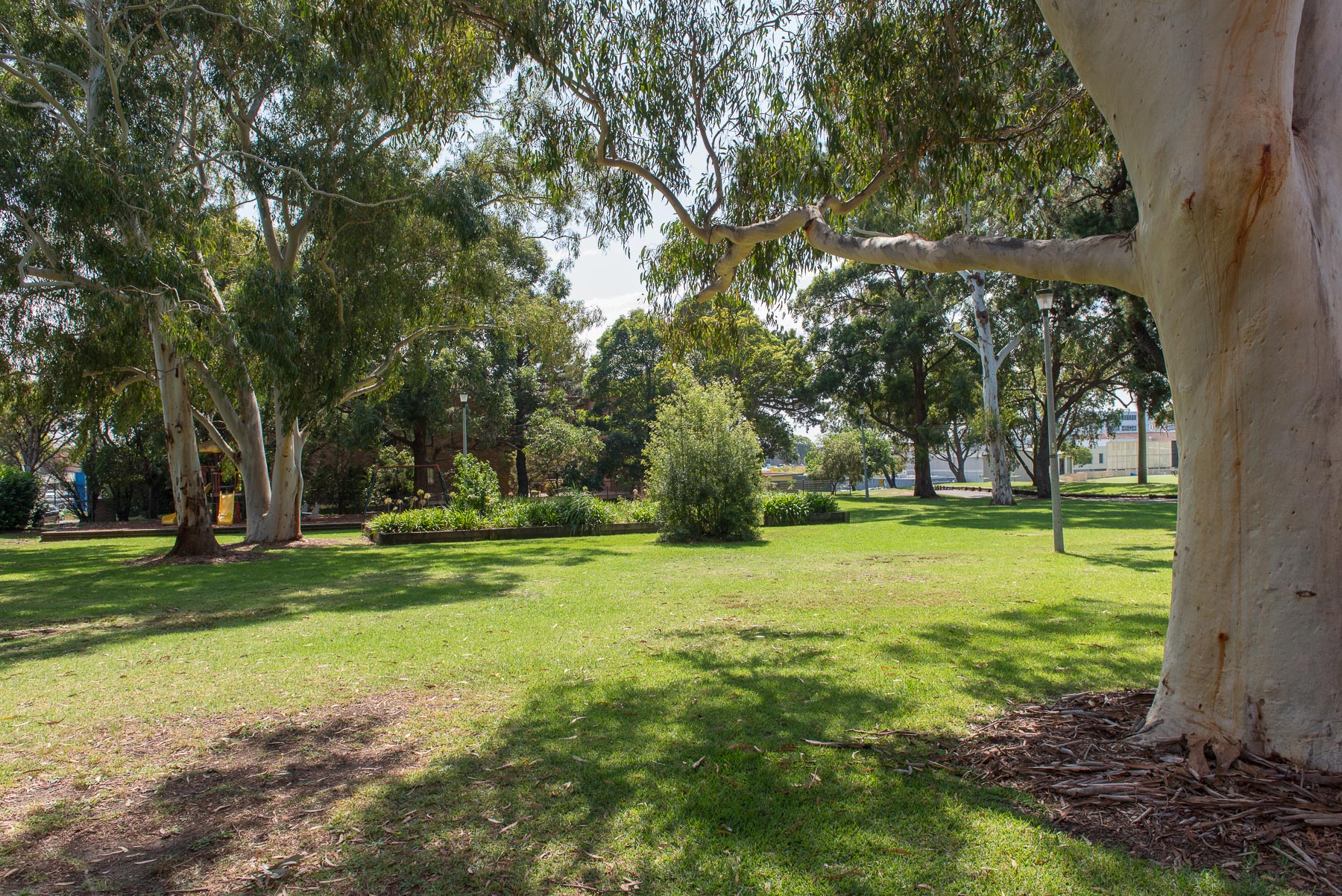 Leafy park with mature trees