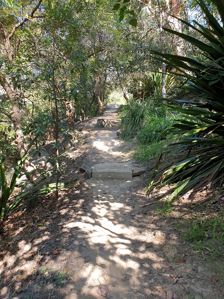 Bushland reserve with pathway