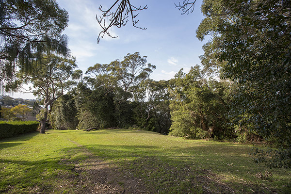 Bushland reserve with grassy spaces