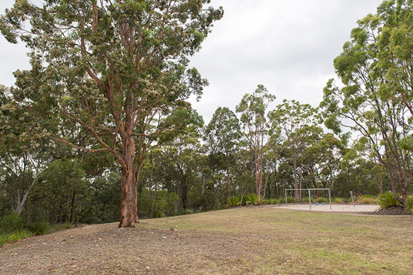 Bushland park with grass and small playground