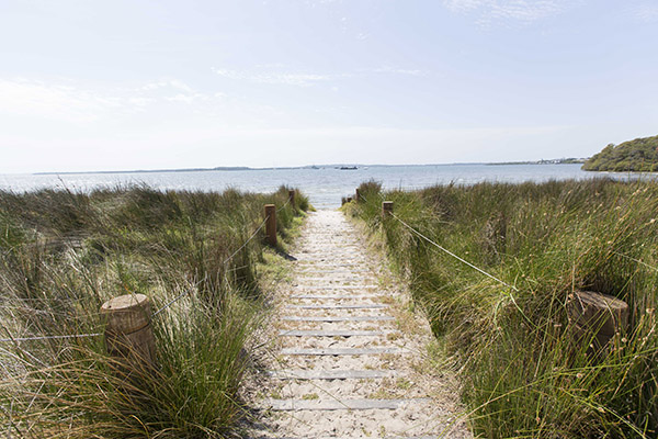 Sandy pathway to beach