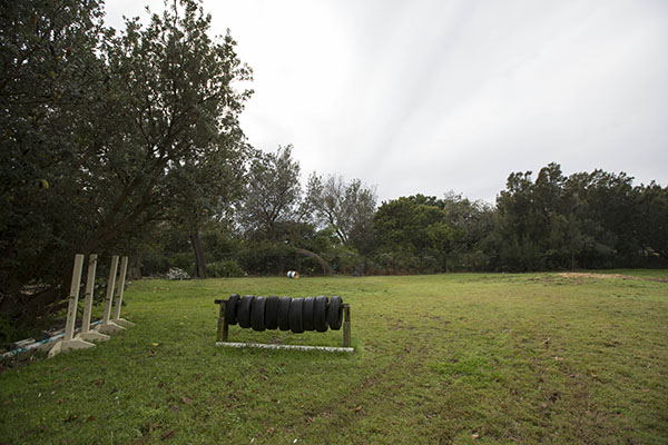 Paddock and trees