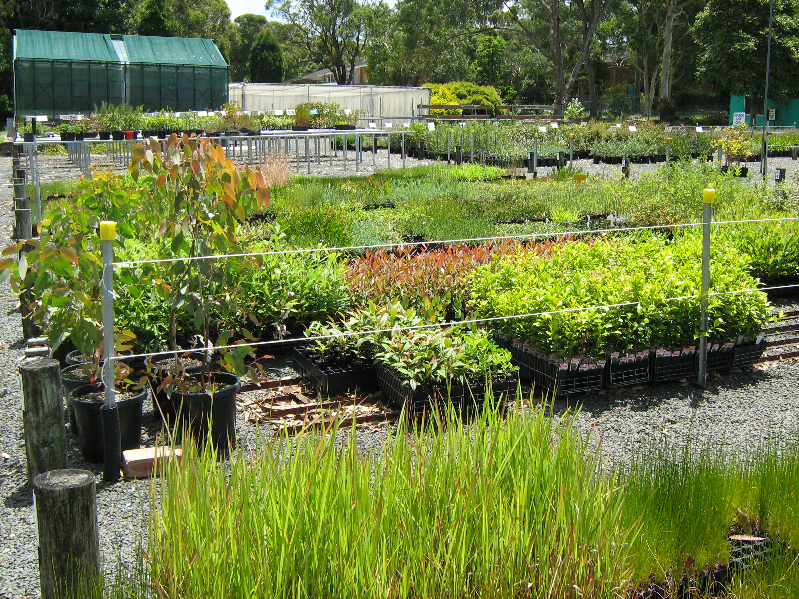 Community Nursery