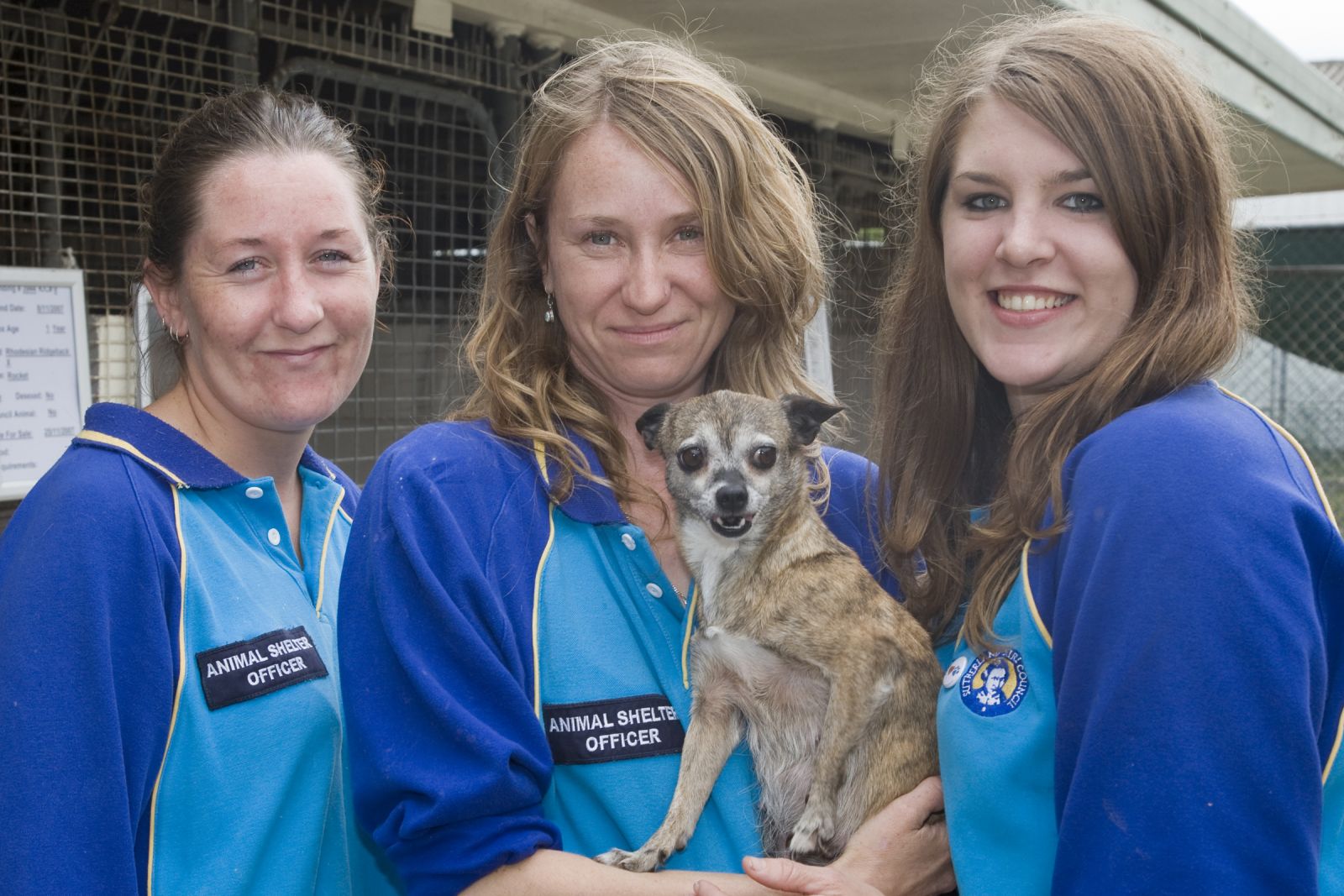 Animal shelter volunteers