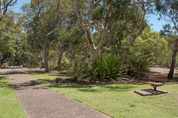Park with shady trees, footpath and seat