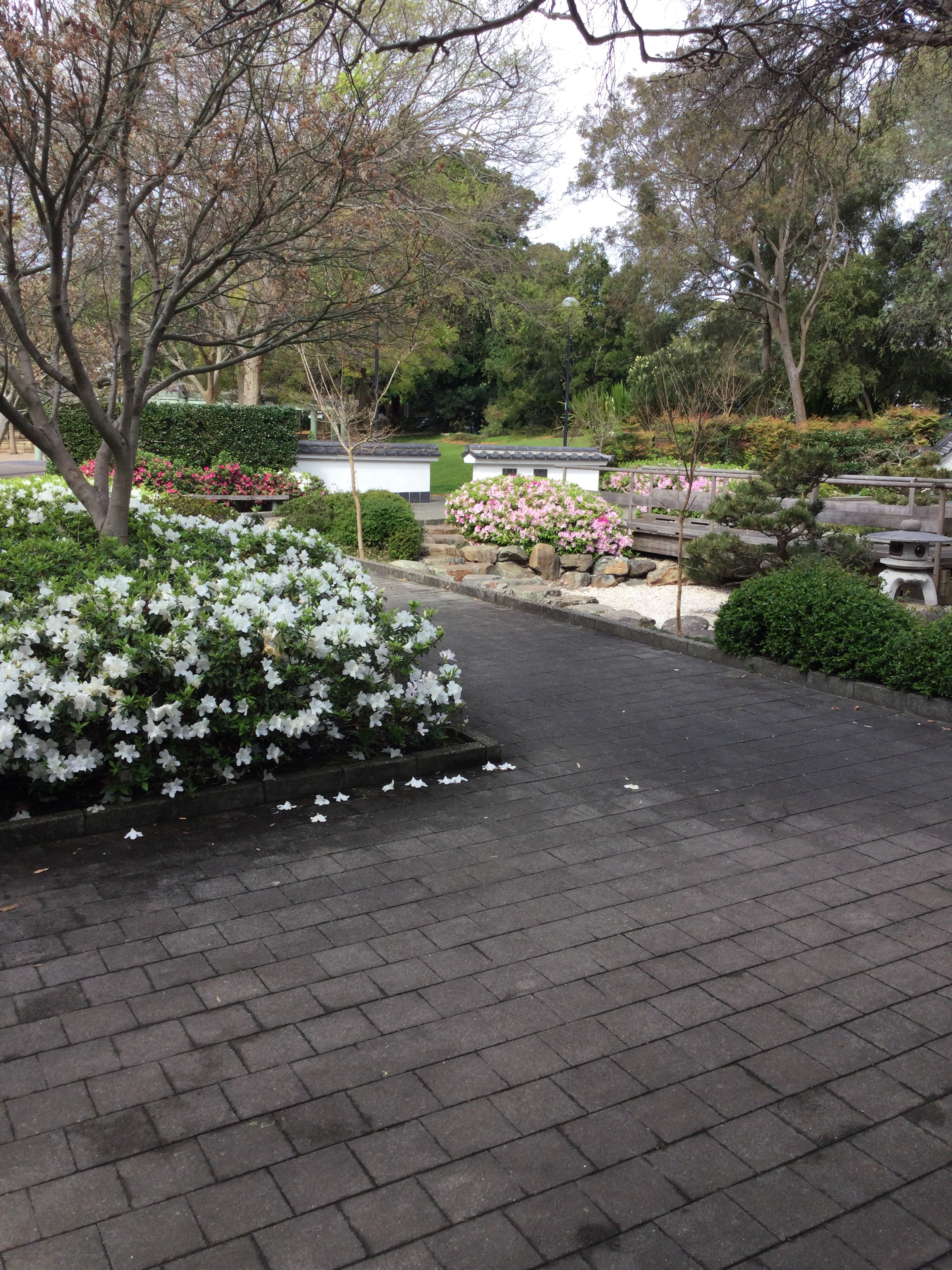Park with Japanese garden