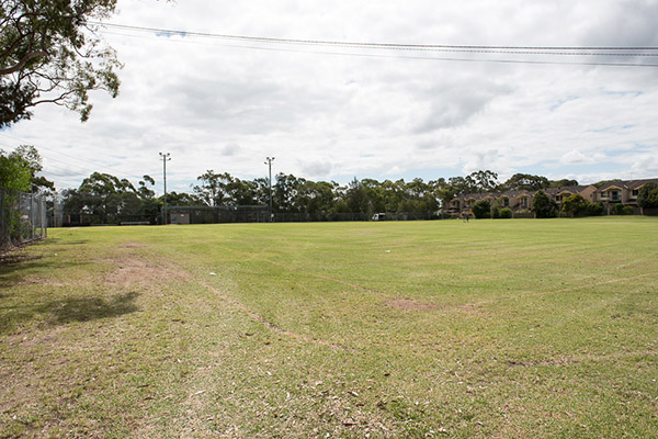 View of playing field
