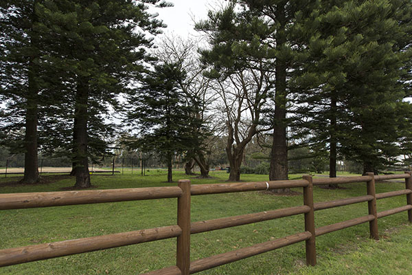 view of trees and paddock
