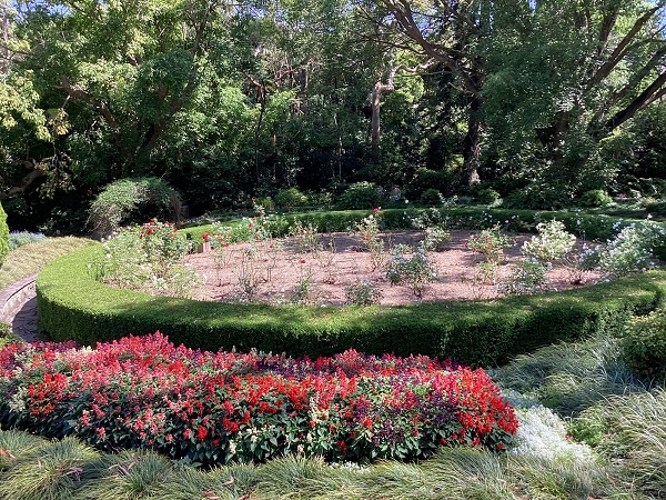 Rose garden surrounded by trees and foliage