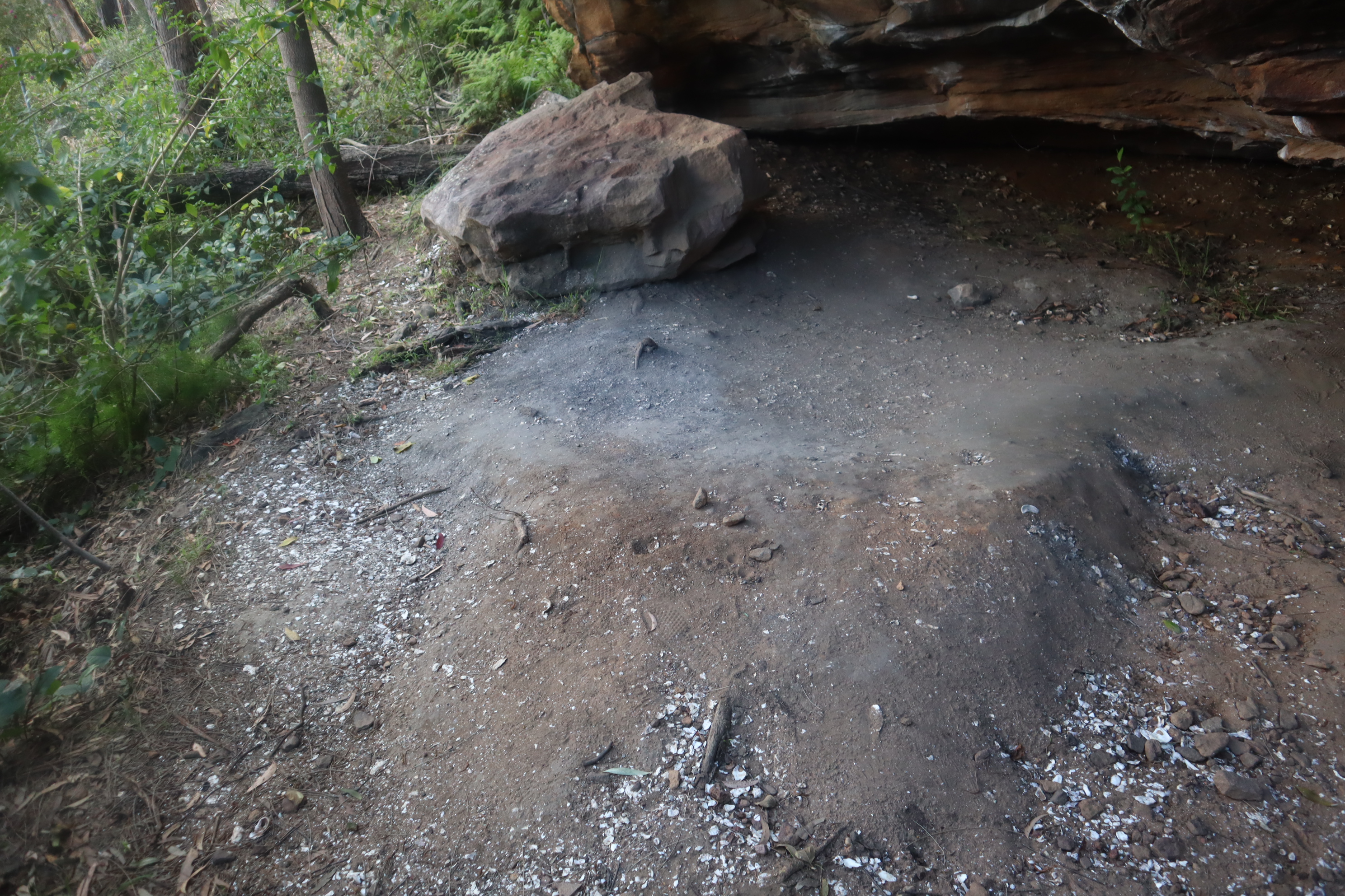 Aboriginal Artifacts midden
