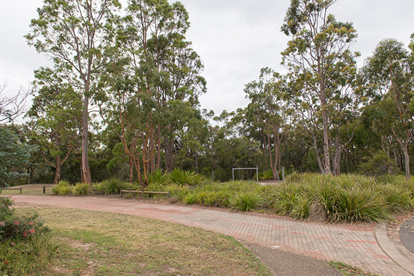 Park with native garden beds, tall gum trees, footpath and playground