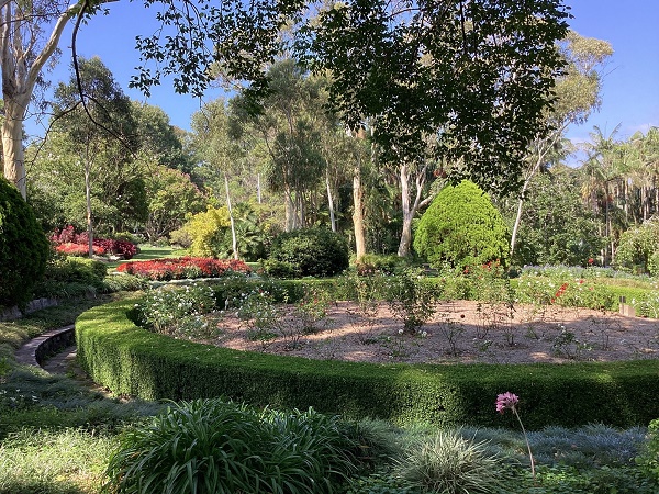 Rose garden surrounded by trees and foliage