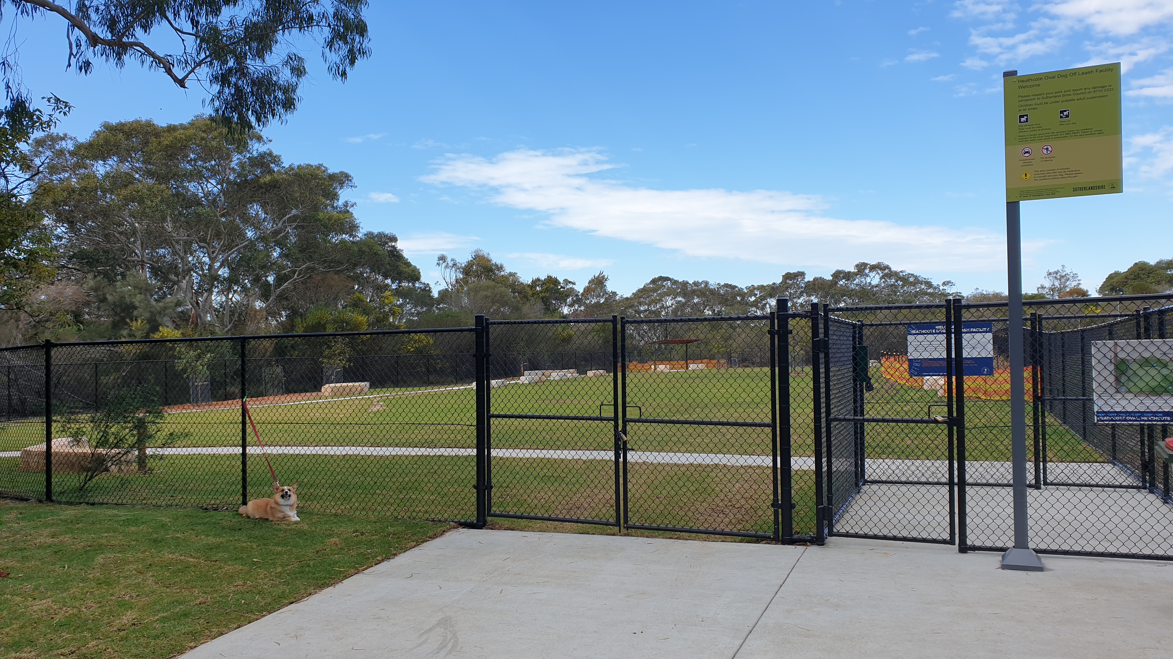 Dog sitting outside fenced dog park