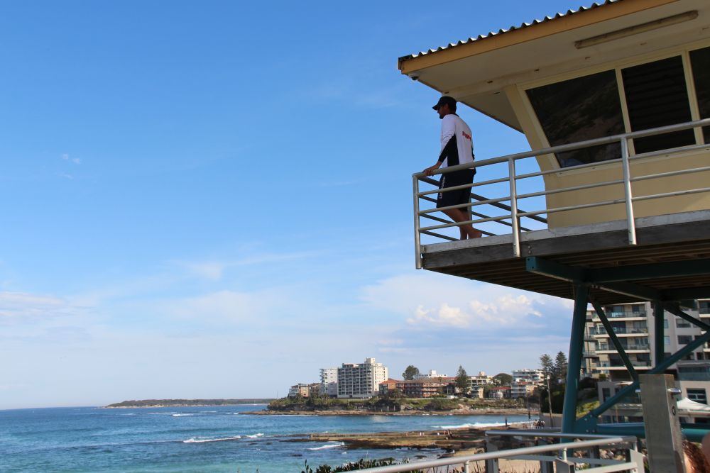 Lifeguards in the shark tower