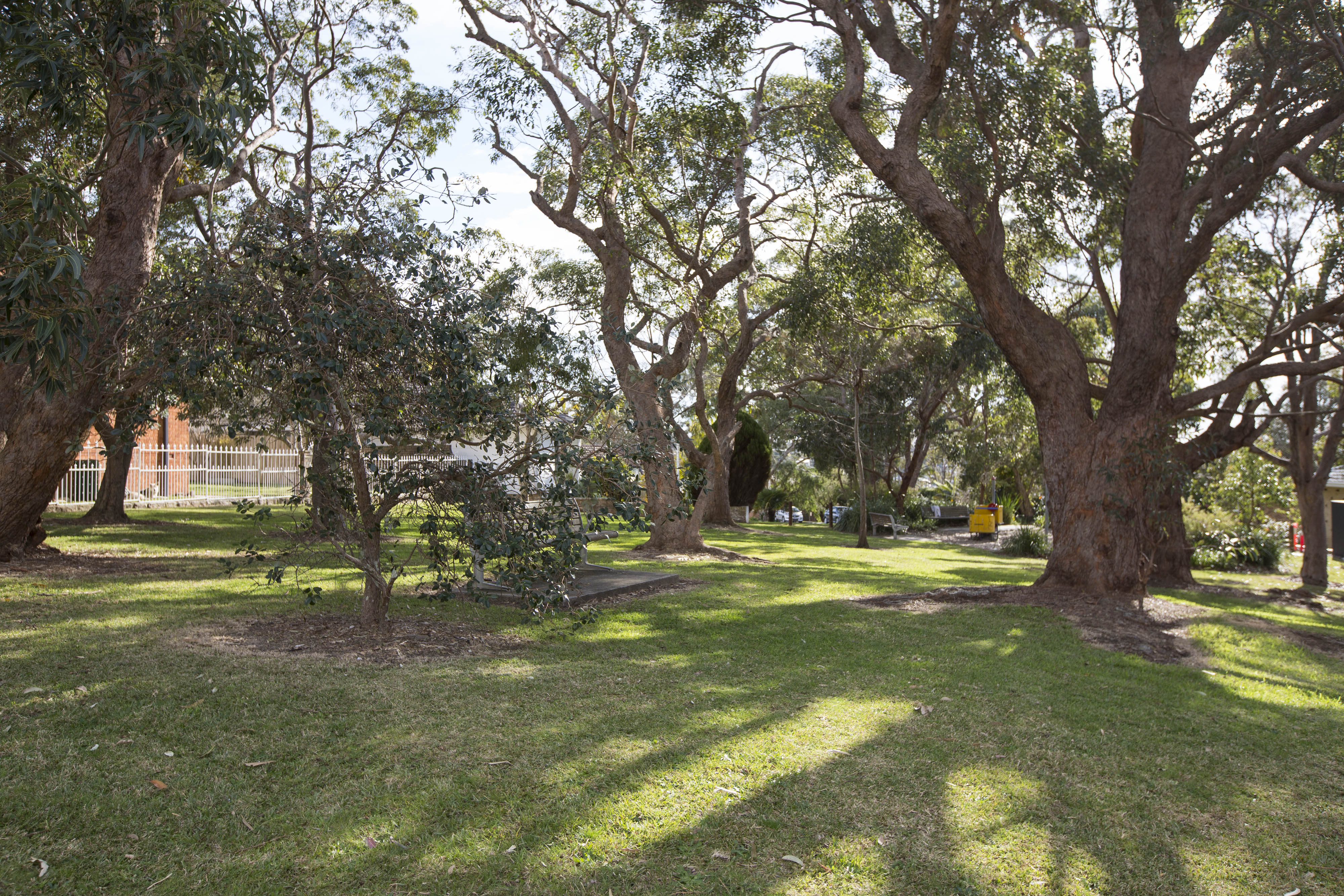 Reserve with open space grass area and mature trees