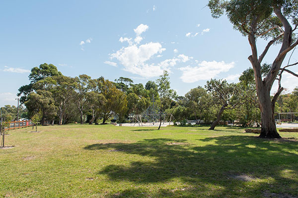 Grassed open space area in park