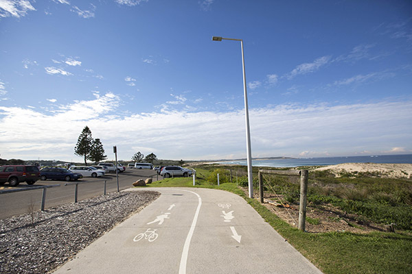 Accessible walking track in reserve