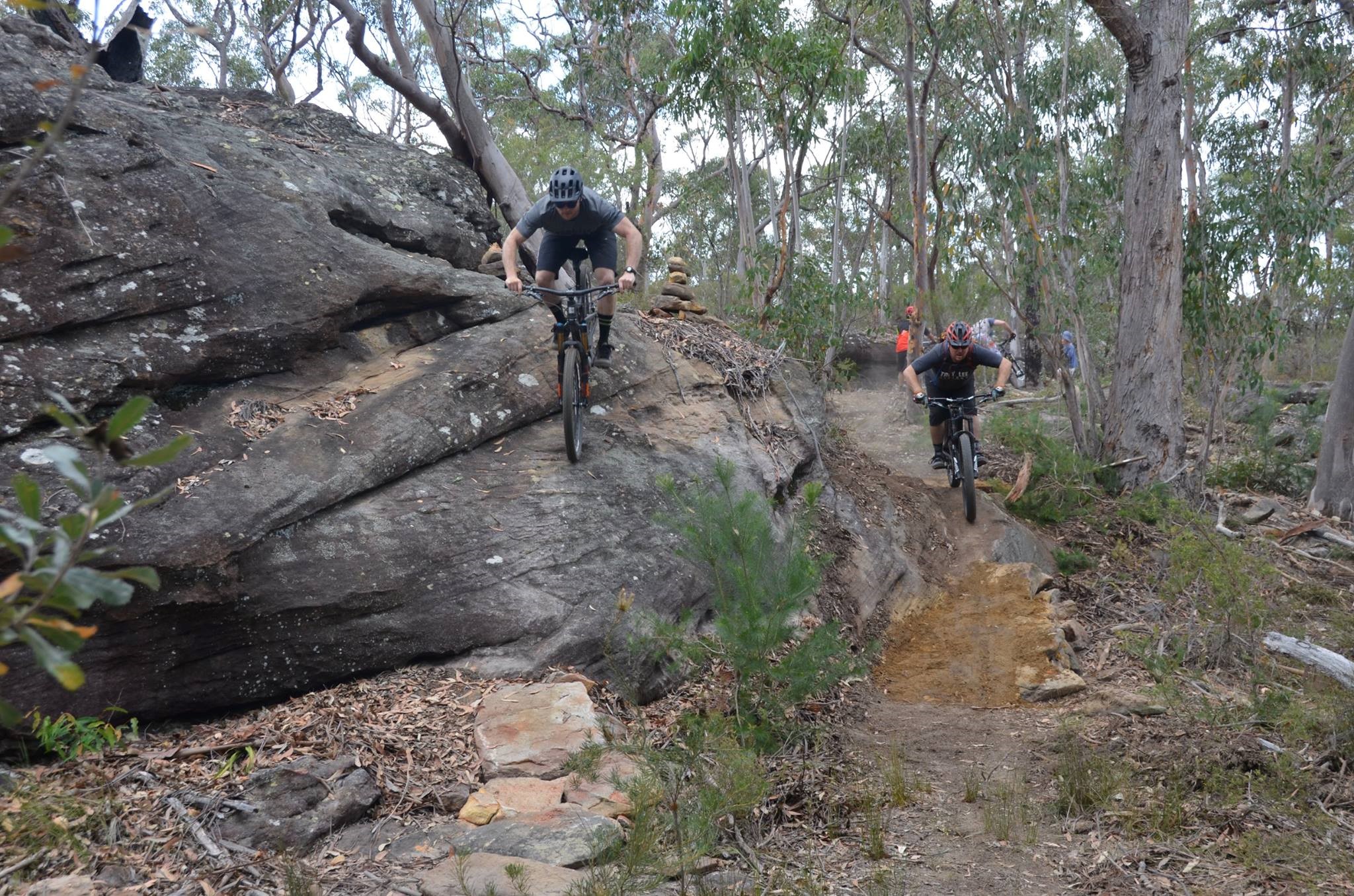 Mountain Bike Rider in bush