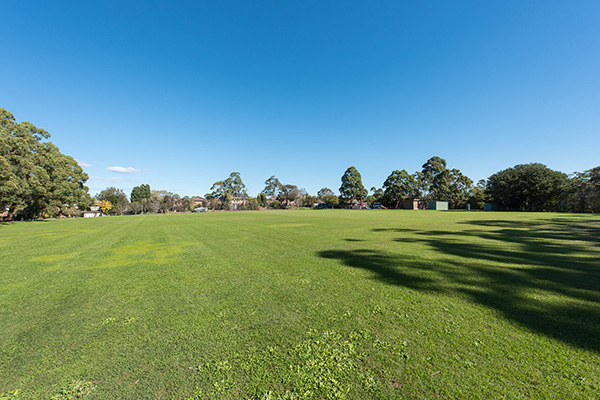 Playing fields with natural turf