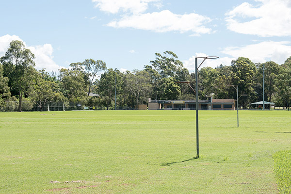 Grass netball court facility