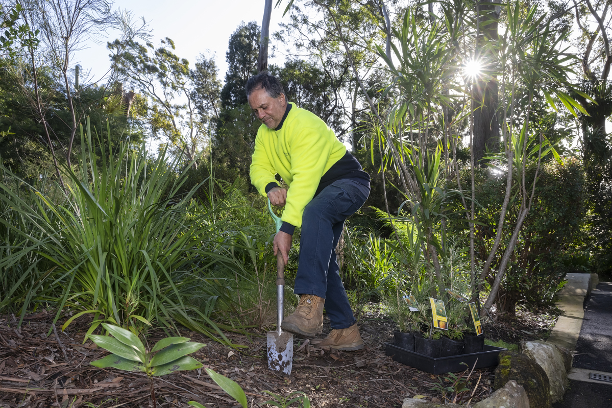 Planting in native plants reserve