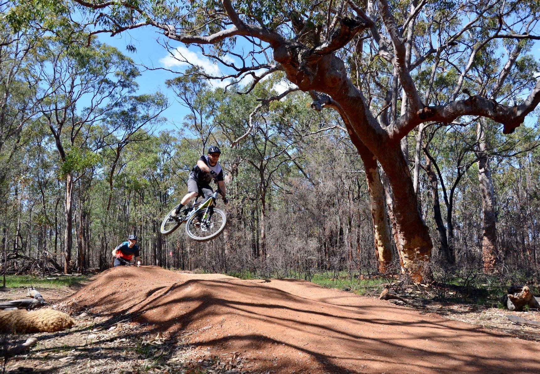 Bike rider going over a jump in bush surrounds