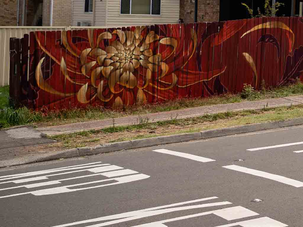 Street Art on Fence