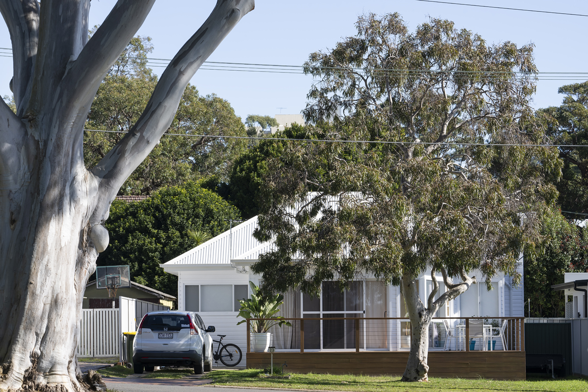 Trees shown on private and public property with a white house in the background.