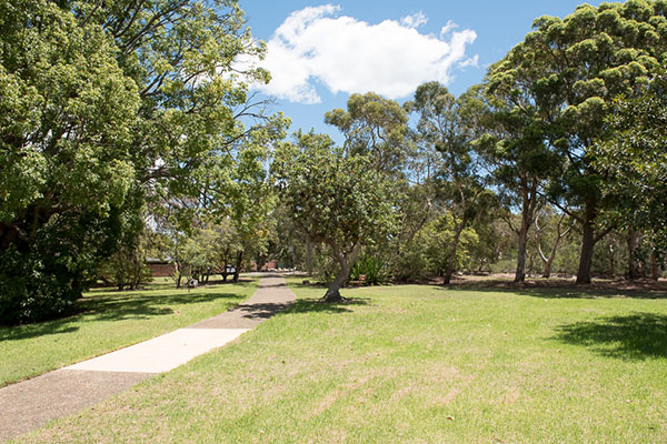 Park with grass and native trees