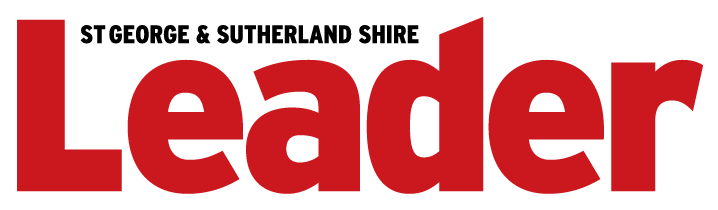 Media Partner The Leader logo