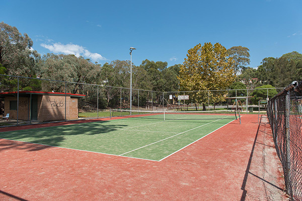 Synthetic grass courts