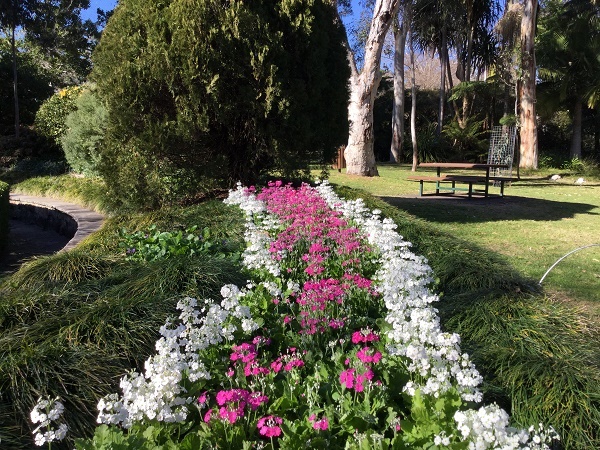 Flower edged border in gardens
