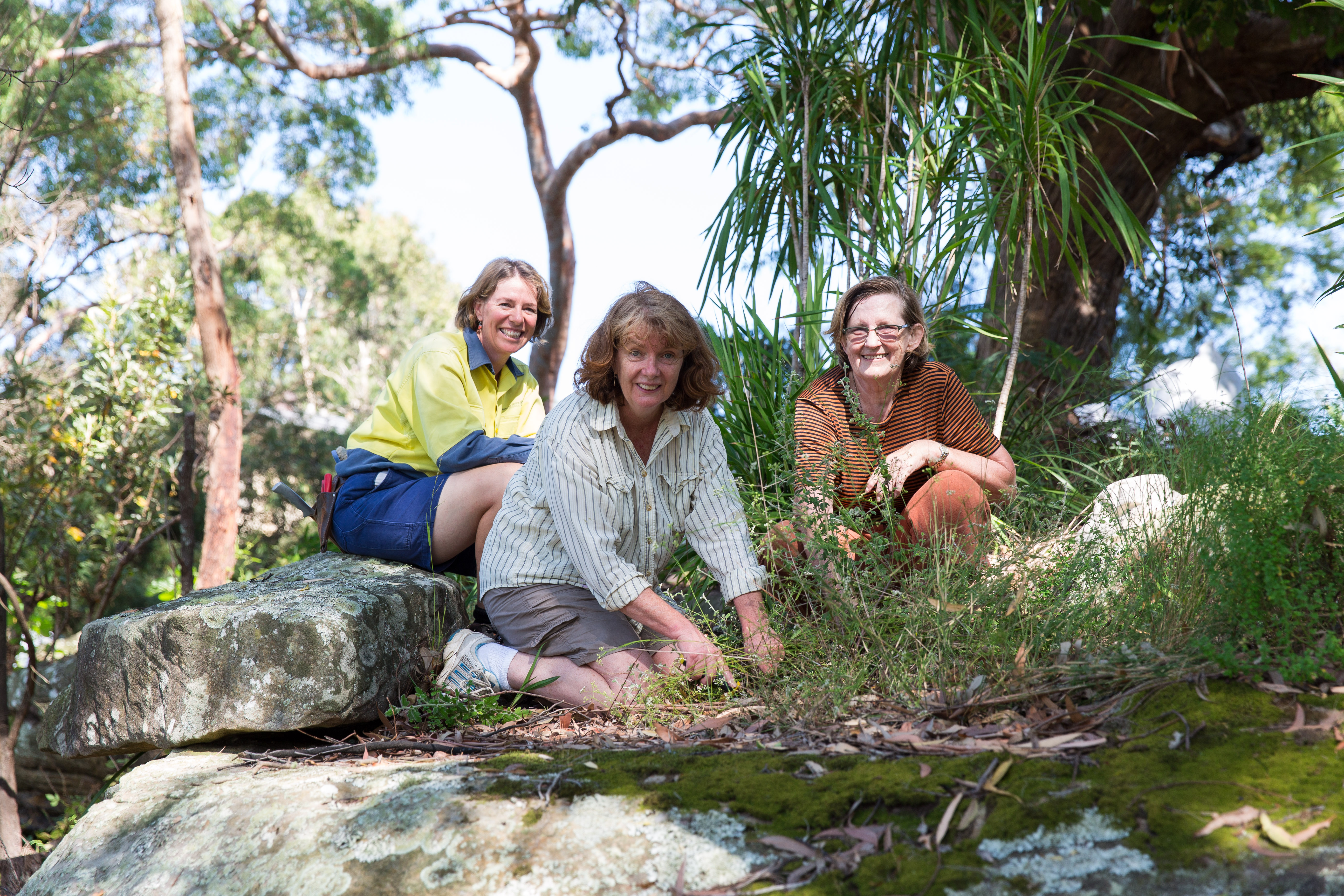 Bushcare volunteers