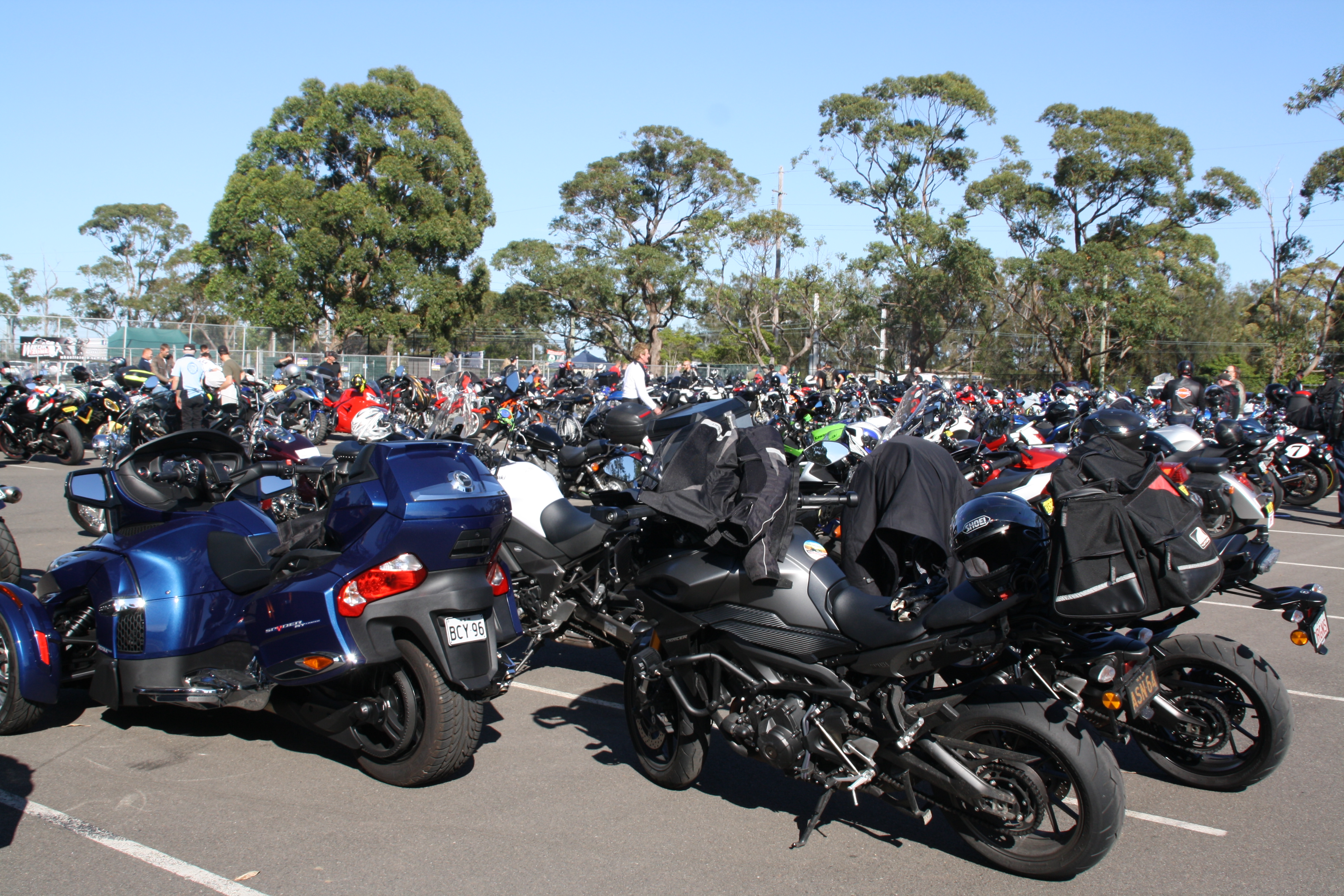 Motorbikes lined up