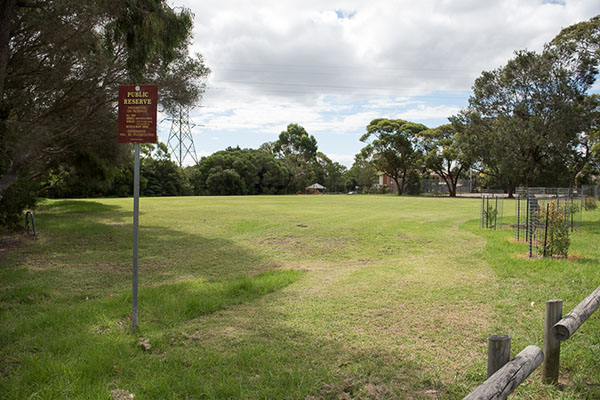Large grassed park with bushland reserve at rear