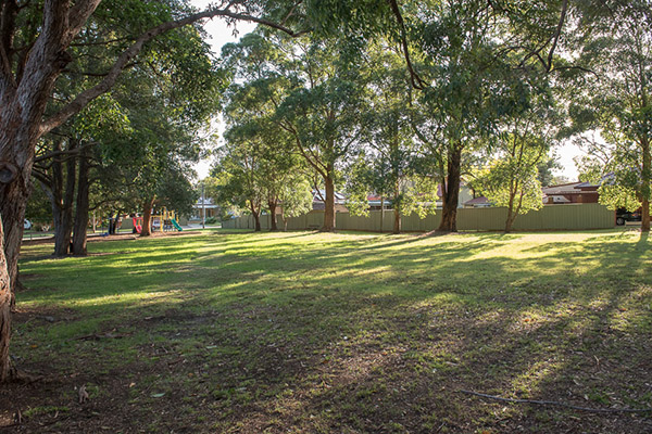 Shady park with mature trees