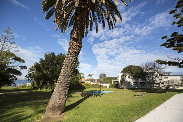 Park with palm tree and swings