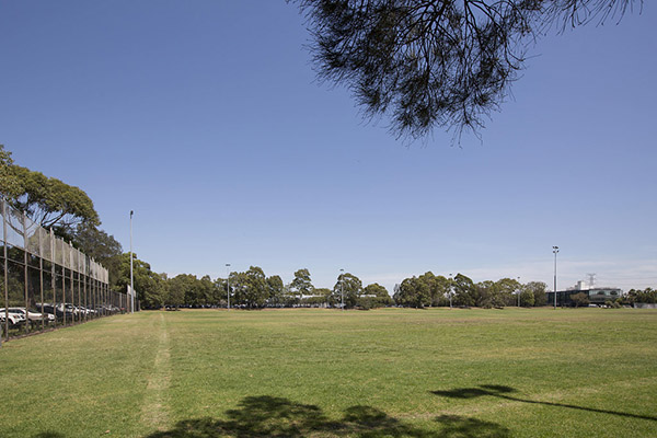 View of playing fields