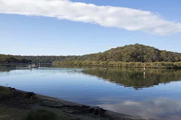 View of Royal National Park from reserve