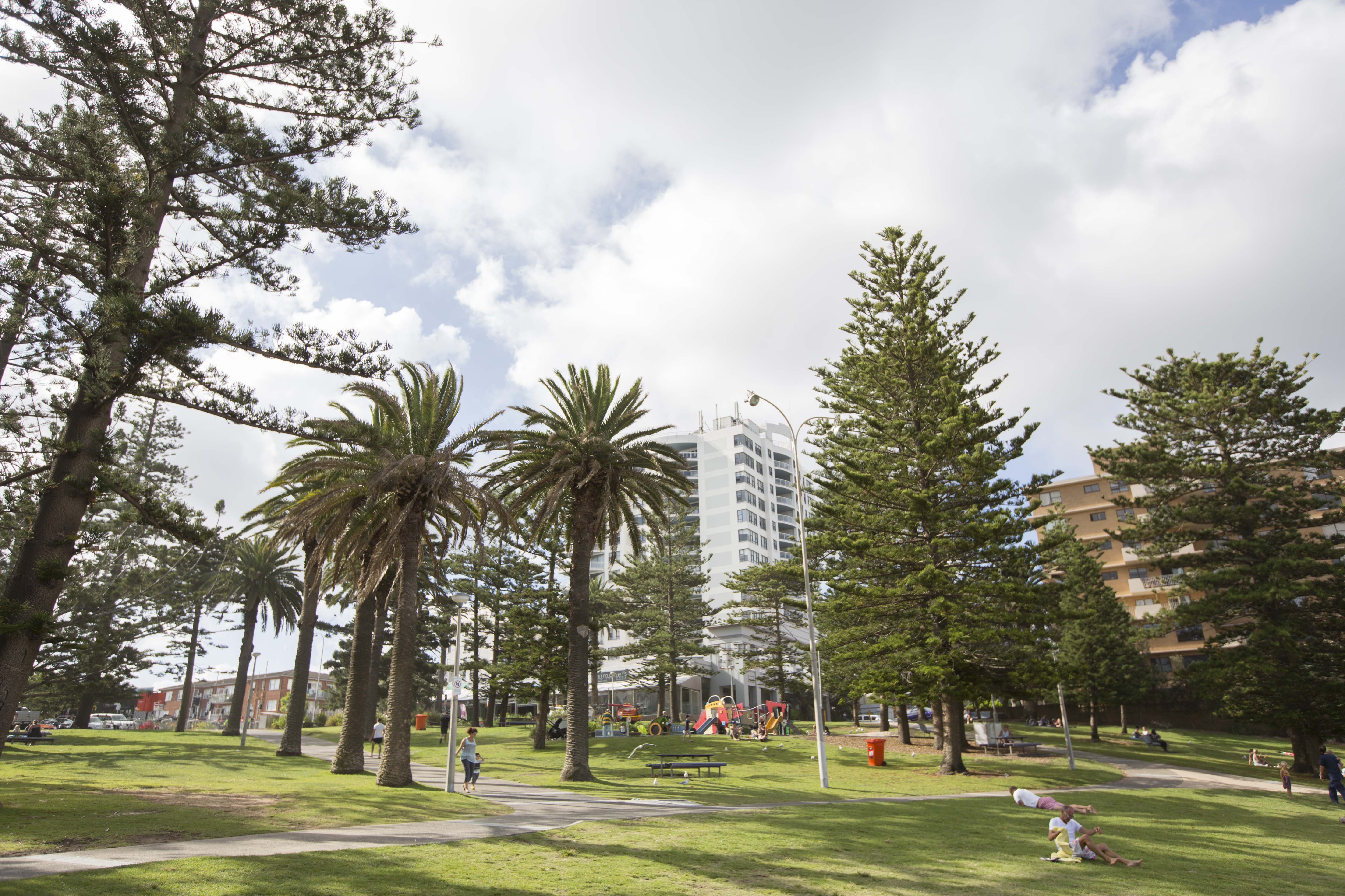 People sitting on grass in park