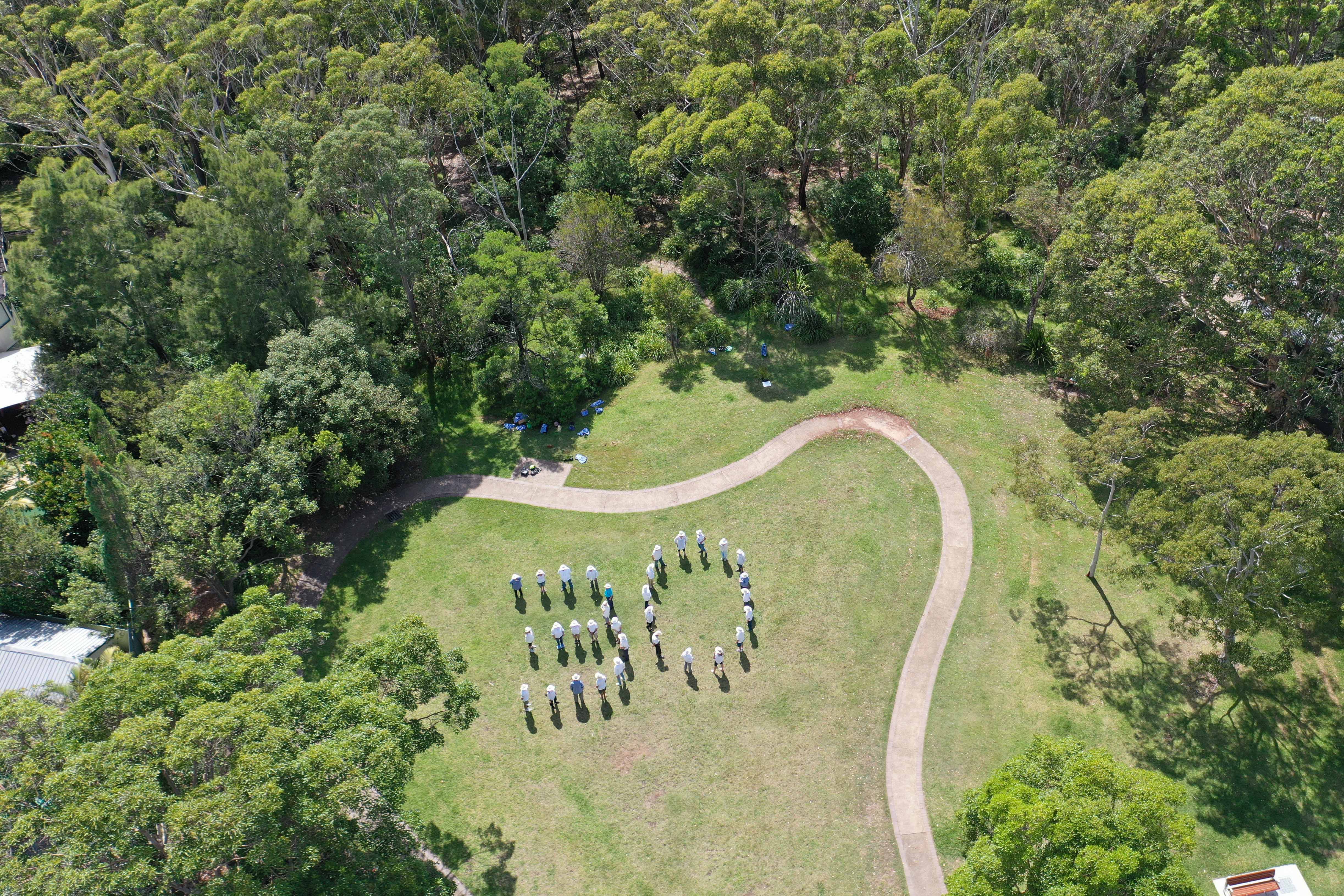 Aerial shot of Bushcare volunteers forming a 30 at Old School Park, Gymea