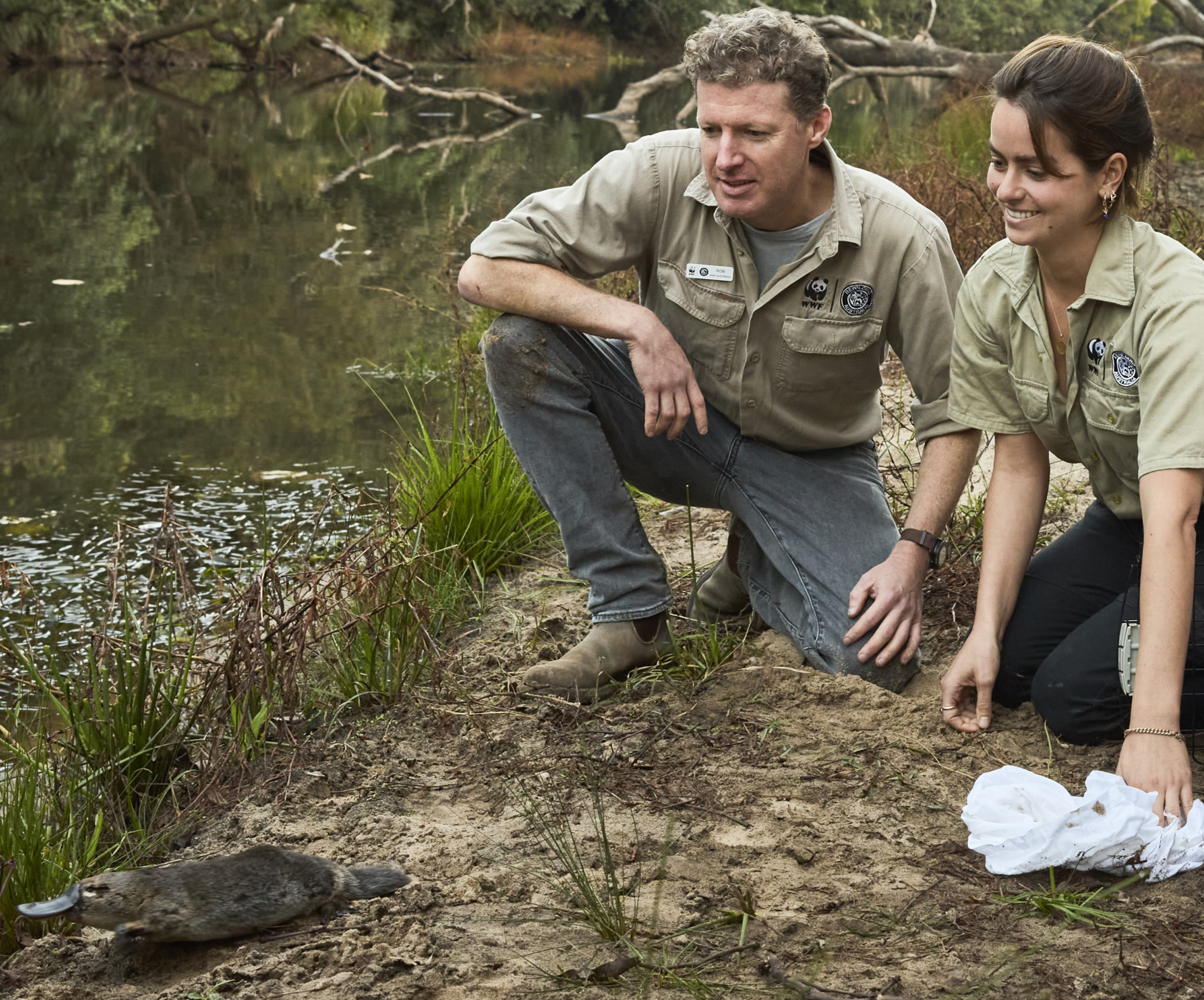 Come along to Sutherland Library to learn about the first-ever Rewilding Project for platypus in NSW with Rob Brewster from WWF-Australia. Book your ticket now!