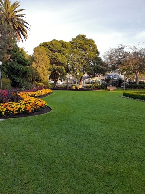 Image of grassy park and flower beds in the background
