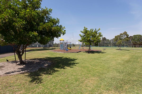 Grassy reserve and play equipment