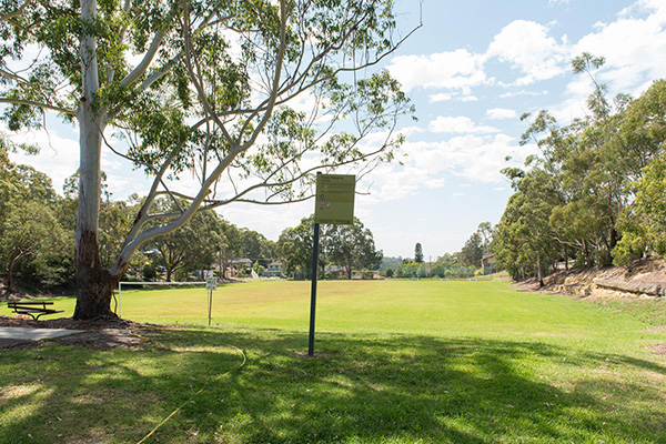 Reserve and playing fields