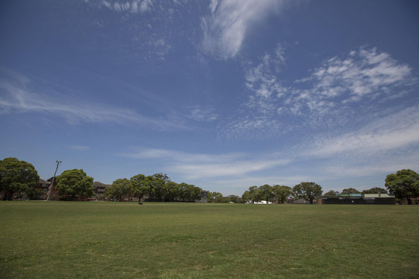 Playing fields